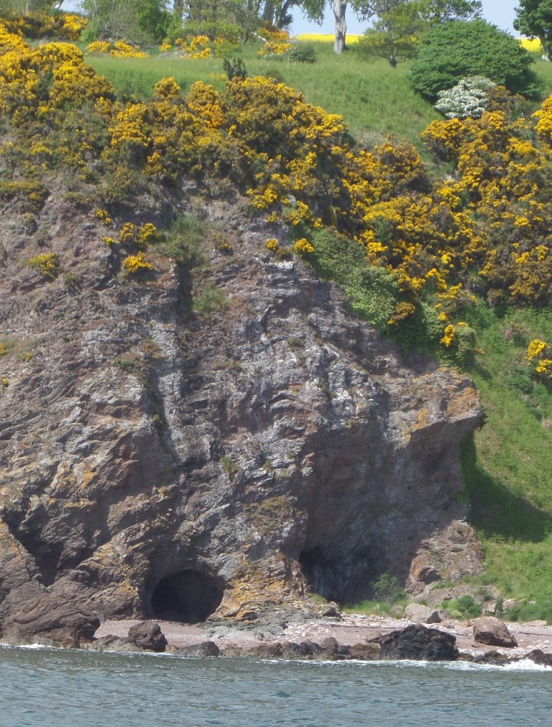A photo of the Highland coast from sea. There are some cormorants on white stained rocks coming up out of the sea in front of some yellow gorse speckled rocky hills.