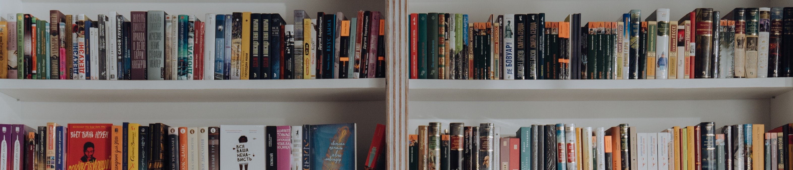 Long width-wise image of two stacked bookshelves filled with books.